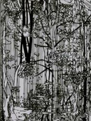 Bucherwald - Ingo Giezwndanner