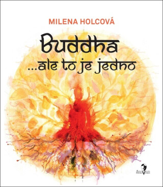Buddha...ale to je jedno - Milena Holcová,Petra Lemonnier