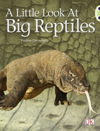 Bug Club Guided Non Fiction Year 1 Blue B A Little Look at Big Reptiles - Pauline Cartwright