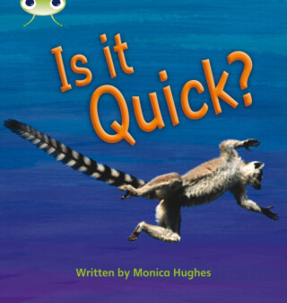 Bug Club Phonics - Phase 3 Unit 7: Is It Quick? - Monica Hughes