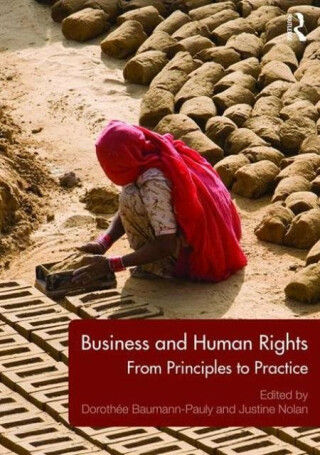 Business and Human Rights - Dorothee Baumann-Pauly,Justine Nolan
