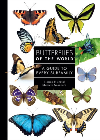 Butterflies of the World - Blanca Huertas,Shinichi Nakahara