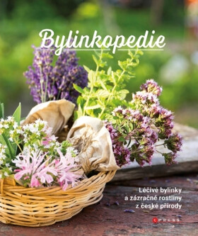 Bylinkopedie - Kolektiv