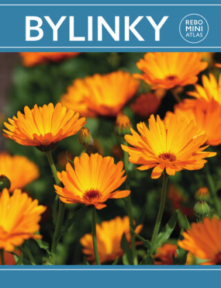 Bylinky miniatlas - 