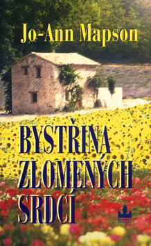 Bystřina zlomených srdcí - Richard Carrasco,Jo-Ann Mapson