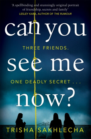 Can You See Me Now? - Trisha Sakhlecha