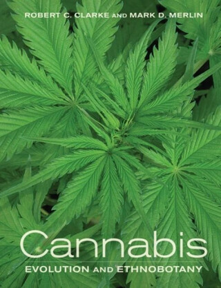 Cannabis - Mark Merlin,Robert Clarke