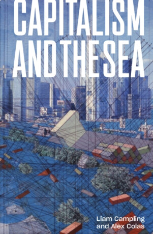 Capitalism and the Sea - Alejandro Colas,Liam Campling