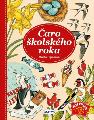 Čaro školského roka - Marta Siposová
