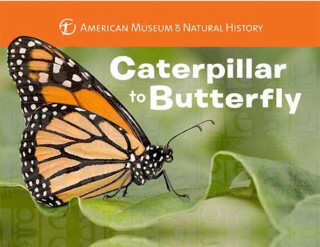 Caterpillar to Butterfly - Melissa Stewart,American Museum of Natural History