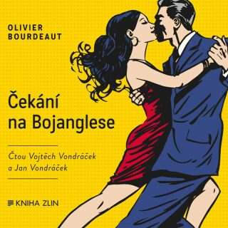 Čekání na Bojanglese - Jan Vondráček,Olivier Bourdeaut,Vojtěch Vondráček