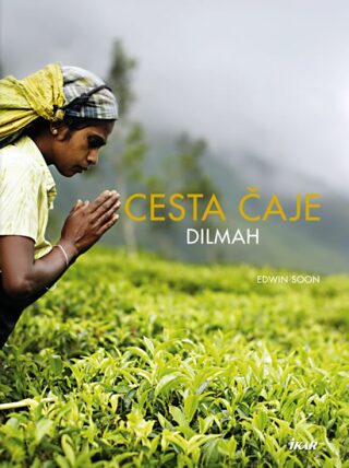 Cesta čaje Dilmah - Soon Edwin