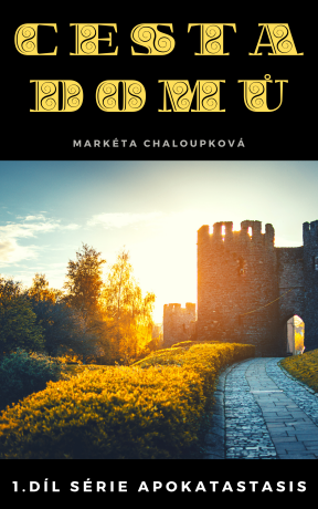 Cesta domů - Markéta Chaloupková
