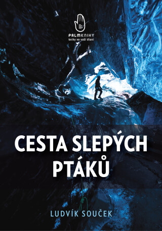 Cesta slepých ptáků - Ludvík Souček