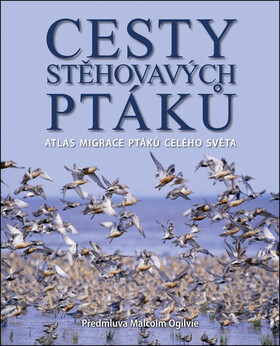 Cesty stěhovavých ptáků - Jonathan Elphick