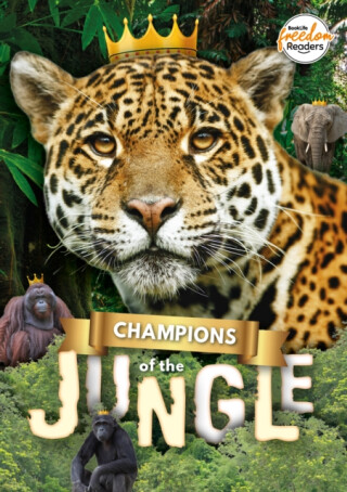 Champions of the Jungle - Madeline Tyler