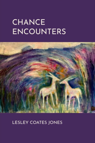 Chance Encounters - Lesley Coates Jones