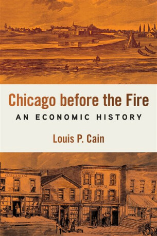 Chicago Before the Fire - Louis P. Cain