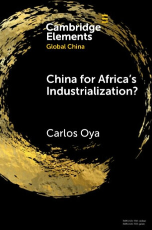 China for Africa's Industrialization? - Carlos  Oya