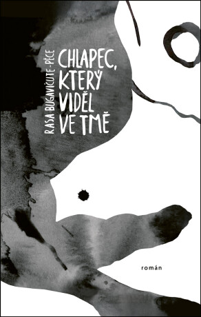 Chlapec, který viděl ve tmě - Rasa Bugavičute-Pēce