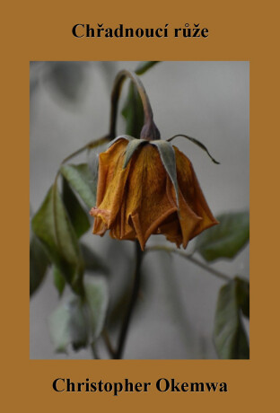 Chřadnoucí růže - Christopher Okemwa