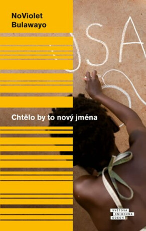 Chtělo by to nový jména - NoViolet Bulawayo