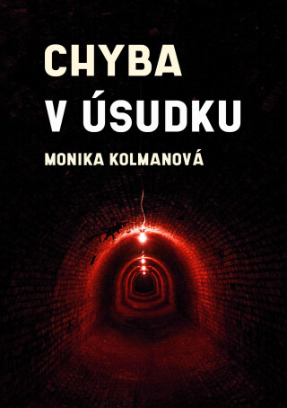 Chyba v úsudku - Monika Kolmanová