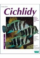 Cichlidy - Zurlo Georg