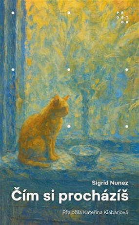 Čím si procházíš - Nunez Sigrid
