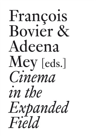 Cinema in the Expanded Field - 