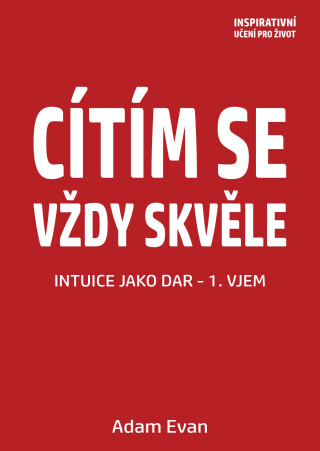 Cítím se vždy skvěle, Intuice jako dar 1. Vjem - Adam Evan