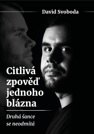 Citlivá zpověď jednoho blázna  - David Svoboda