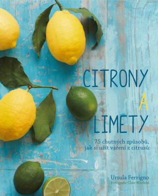 Citróny a limety (Defekt) - Ursula Ferrigno