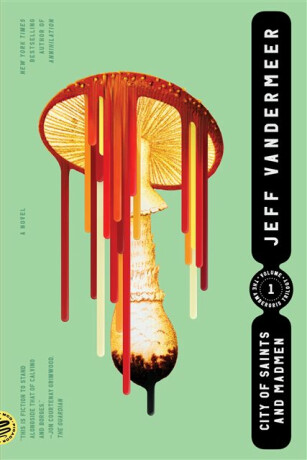City of Saints and Madmen - Jeff VanderMeer