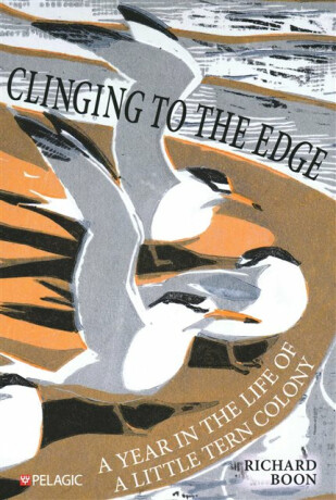 Clinging to the Edge - Richard Boon