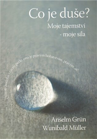 Co je duše ? - Anselm Grün,Wunibald Müller