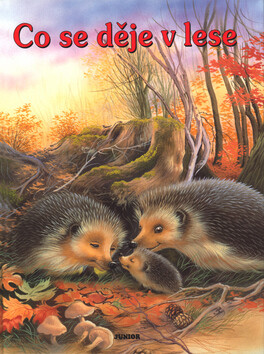 Co se děje v lese - 