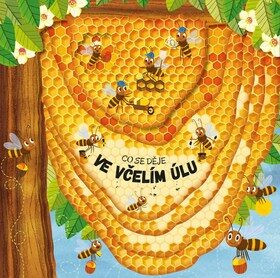Co se děje ve včelím úlu - Petra Bartíková,Martin Šojdr