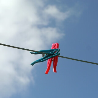 Co se skrývá pod břečťanem - Vratislav Maňák