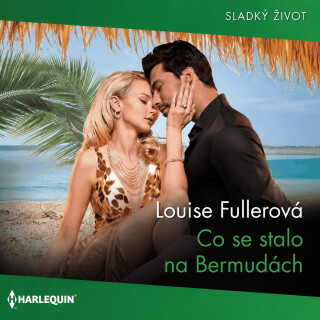 Co se stalo na Bermudách - Louise Fullerová