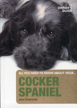 Cocker Spaniel - Jane Simmonds