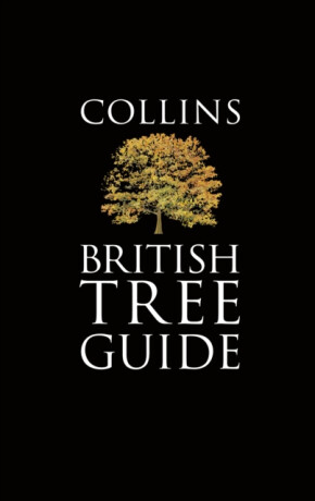 Collins British Tree Guide - David More,Owen Johnson