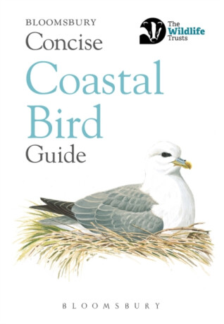 Concise Coastal Bird Guide - 