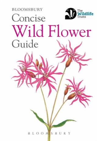 Concise Wild Flower Guide - Bloomsbury