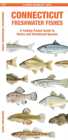 Connecticut Freshwater Fishes - Matthew Morris,Jill Kavanagh