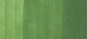 Copic classic marker – YG67 Moss - 