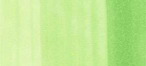 Copic Ink – YG05 Salad - 