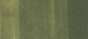 Copic Ink – YG99 Marine Green - 