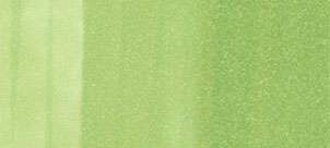 Copic sketch marker - G43 pistachio - 