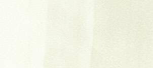 Copic sketch marker - W00 warm gray - 